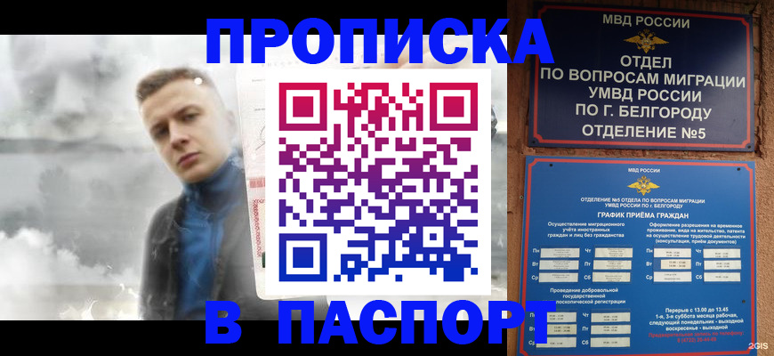 временная регистрация в Порхове